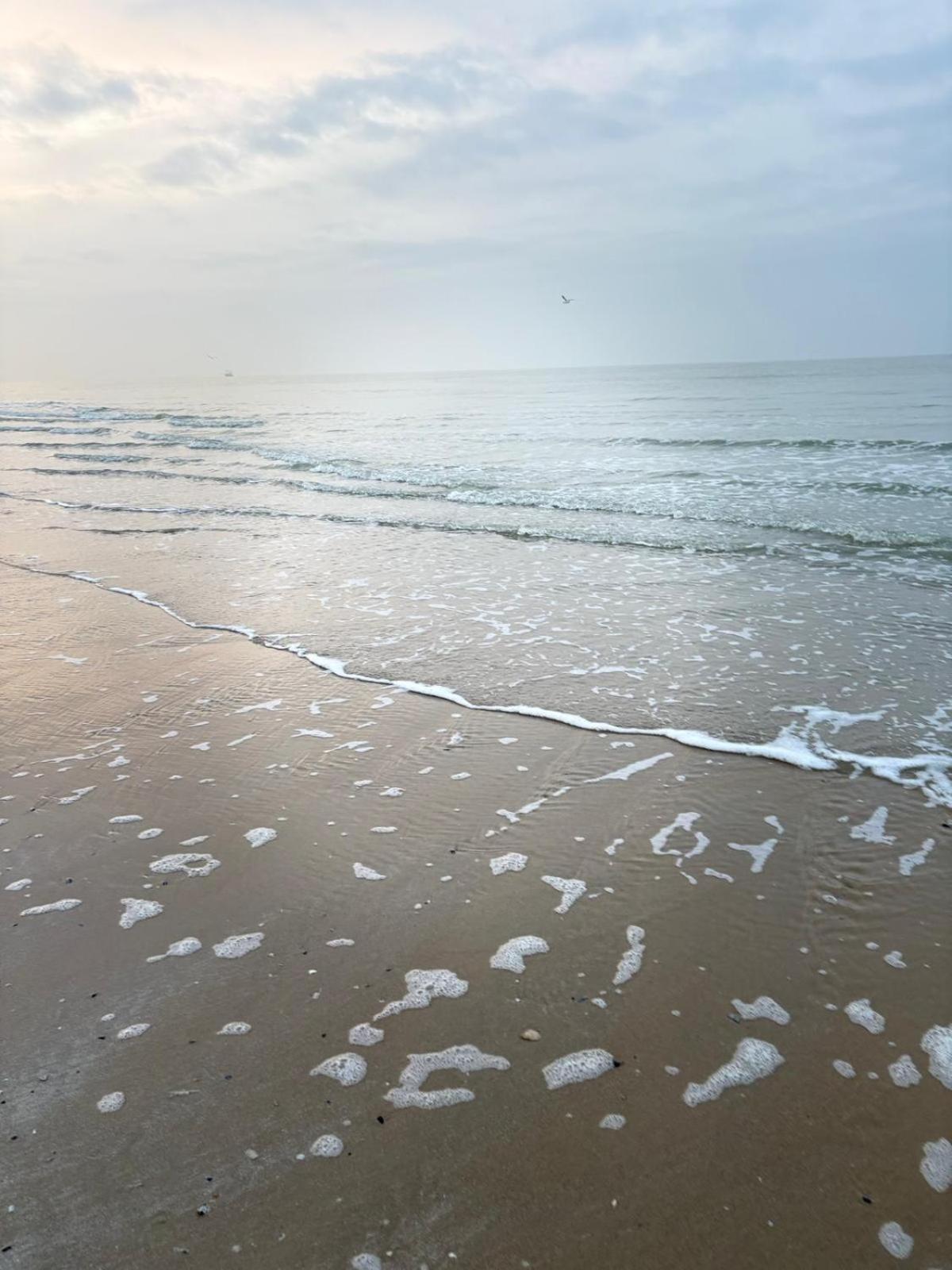 Апартаменты Middelkerke - Frontaal Zeezicht Экстерьер фото